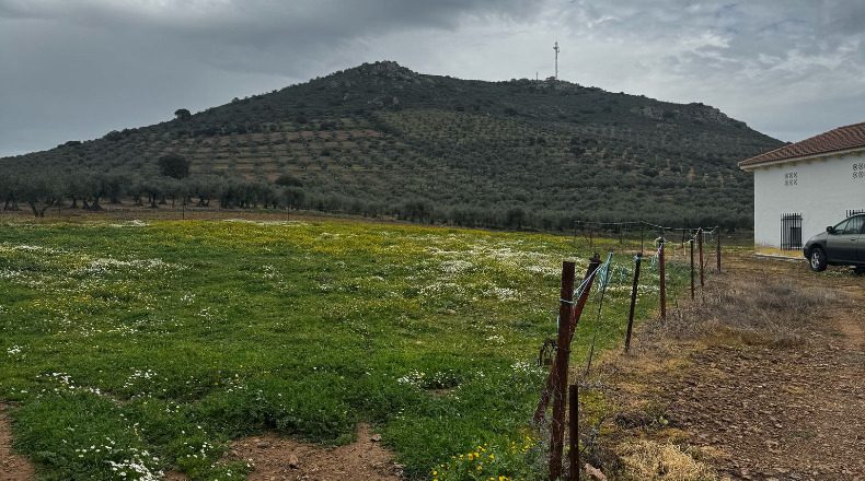 Badajoz - Cabeza del Buey - 14000m2