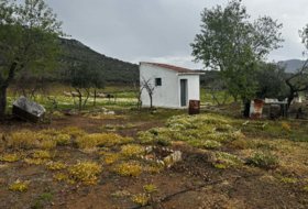 Foto 13