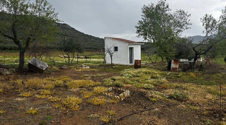 Badajoz - Cabeza del Buey - 14000m2