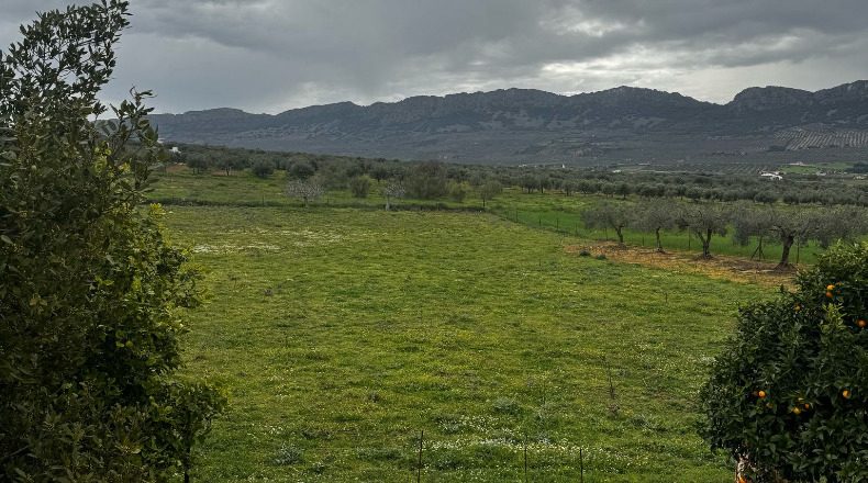 Badajoz - Cabeza del Buey - 14000m2