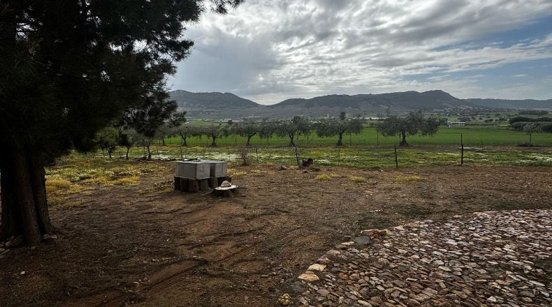 Badajoz - Cabeza del Buey - 14000m2