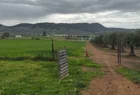 Foto 19
