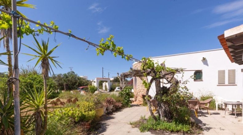 Balearic Islands - Puig de sa Roca - 11000m2