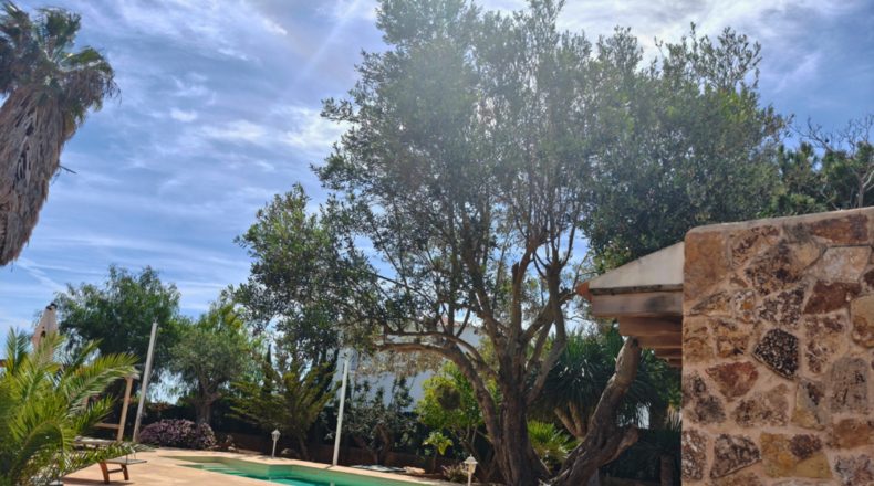Balearic Islands - sa Carroca - 875m2