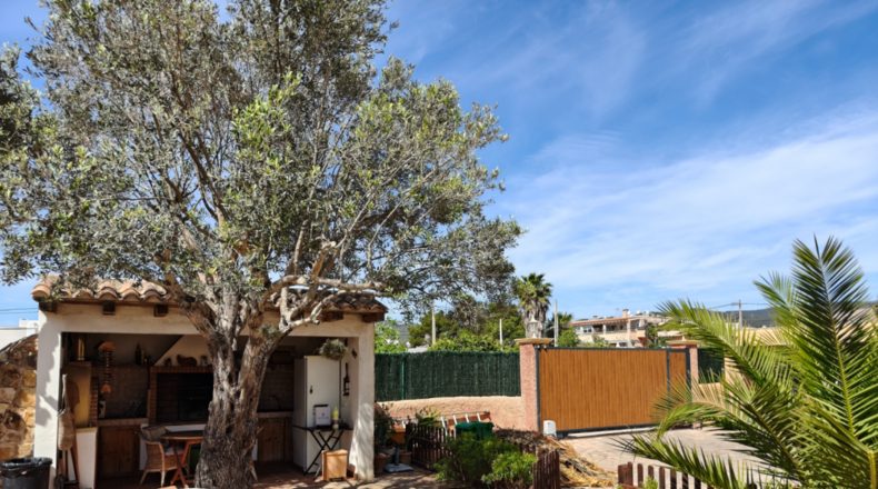 Balearic Islands - sa Carroca - 875m2
