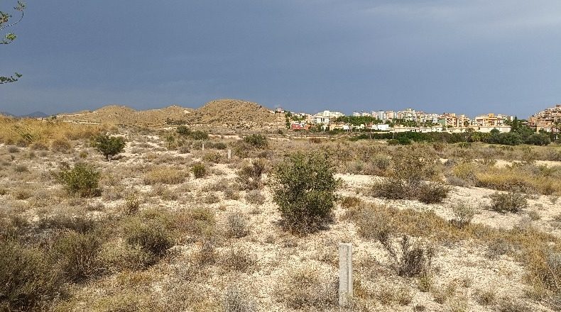 Alicante - Muchamiel - 20000m2