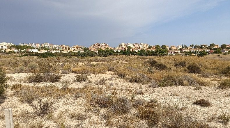 Alicante - Muchamiel - 20000m2