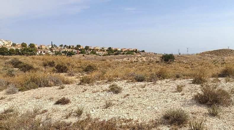 Alicante - Muchamiel - 20000m2