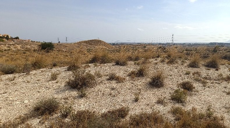Alicante - Muchamiel - 20000m2