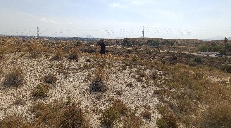 Alicante - Muchamiel - 20000m2