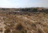 Terreny no urbanitzable en venda a la AV Alcoy CV 773, Mutxamel, ref.: TR323821 foto