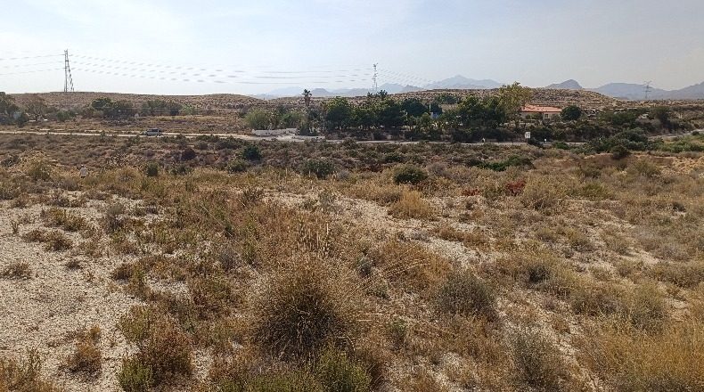 Alicante - Muchamiel - 20000m2