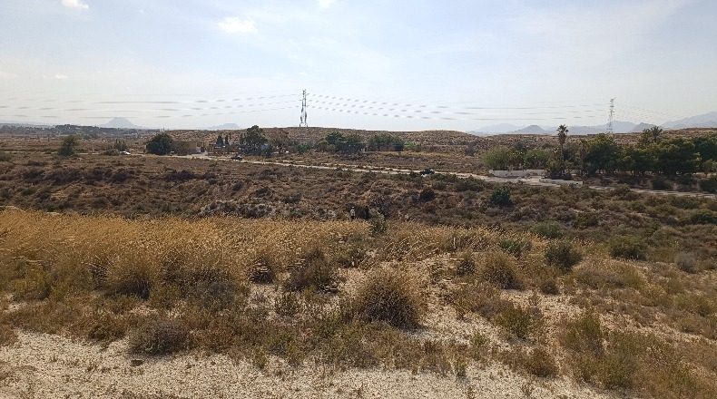 Alicante - Muchamiel - 20000m2