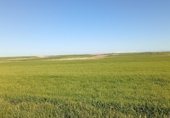 Non-developable land for sale on Carretera de Nava de la Asunción a L.P. de Valladolid, Fuente de Santa Cruz, ref: TR323947 photo