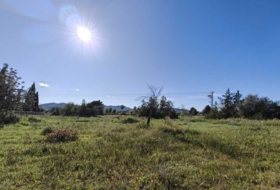 Santa Eulària des Riu 16500&nbsp;m²