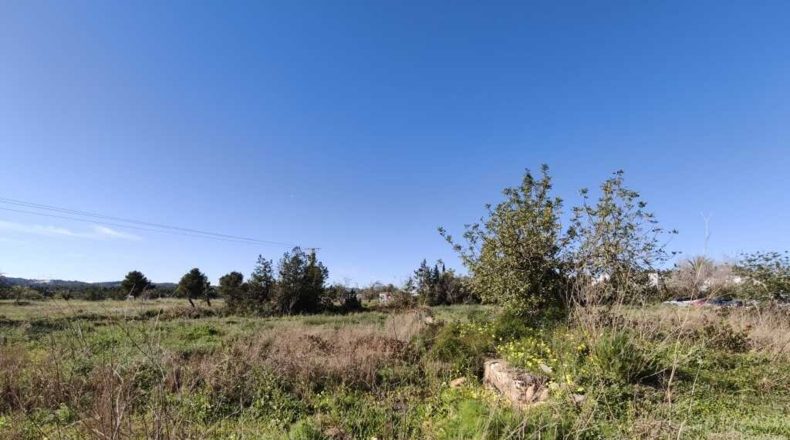 Balearic Islands - Santa Eulalia del Río - 16500m2