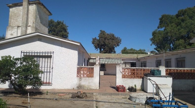 Cádiz - Los Barrios - 19170m2