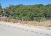 Xalet independent amb terreny en venda a la Autovía Jerez-Los Barrios, Los Barrios, ref.: TR323955 foto