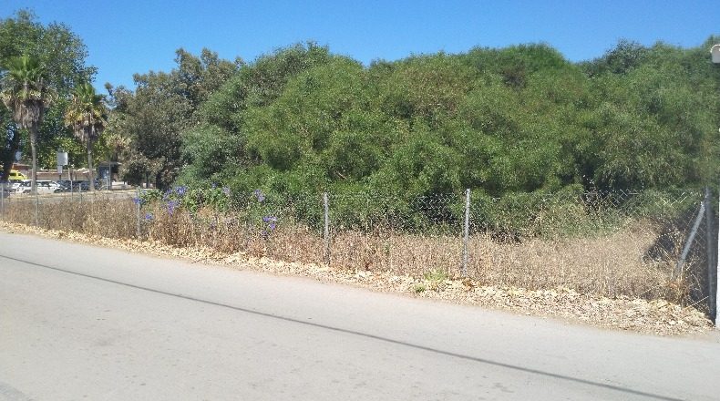 Cádiz - Los Barrios - 19170m2