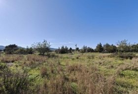 Santa Eulària des Riu 16500&nbsp;m²