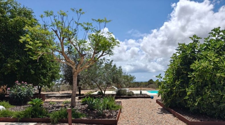 Islas Baleares - Sant Jordi de ses Salines - 1700m2