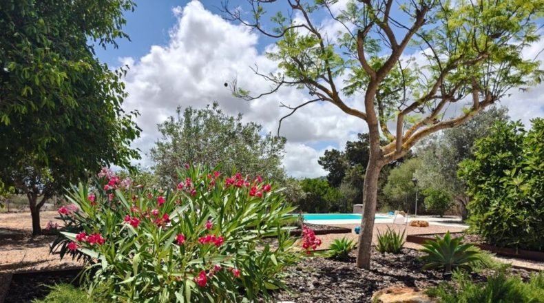 Islas Baleares - Sant Jordi de ses Salines - 1700m2