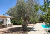 Xalet independent amb terreny en lloguer a la Carrer Montblanc, Sant Jordi de ses Salines, ref.: TR324612 foto