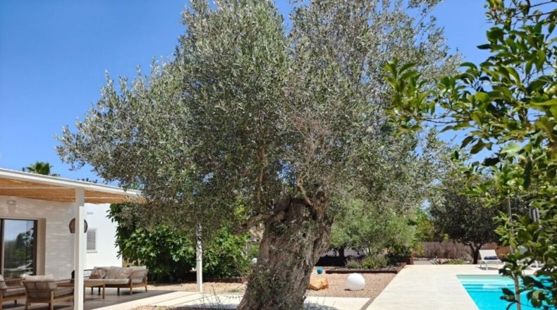 Islas Baleares - Sant Jordi de ses Salines - 1700m2