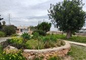 Chalet independiente con terreno en venta en la , sa Carroca, ref: TR324236 foto