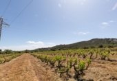 Masía con terreno en venta en la , Puig de sa Roca, ref: TR324970 foto