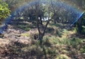 Sòl urbà en venda a la 74, Tortosa, ref.: TR325120 foto