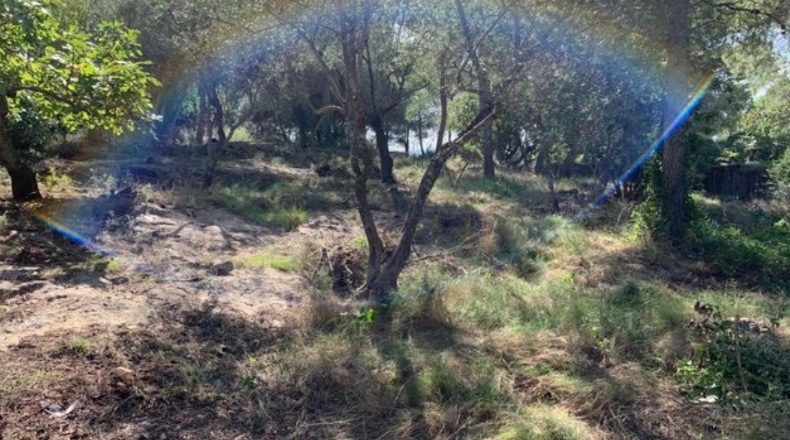 Tarragona - Tortosa - 2100m2
