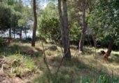 Sòl urbà en venda a la 74, Tortosa, ref.: TR325120 foto