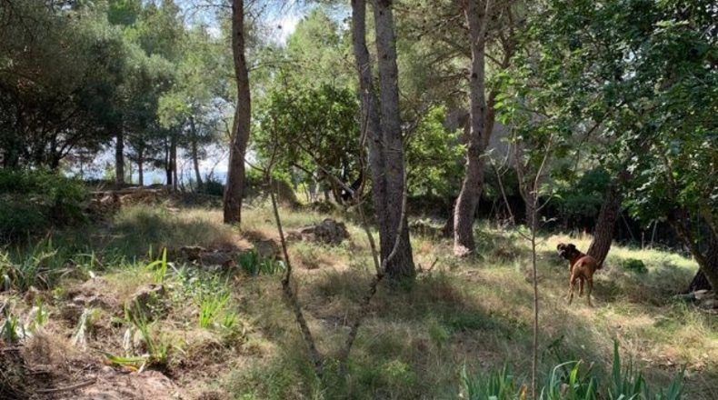 Tarragona - Tortosa - 2100m2