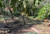 Sòl urbà en venda a la 74, Tortosa, ref.: TR325120 foto