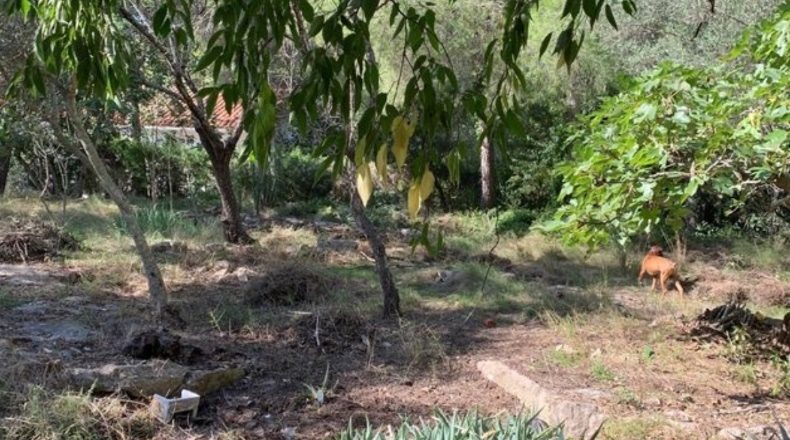 Tarragona - Tortosa - 2100m2