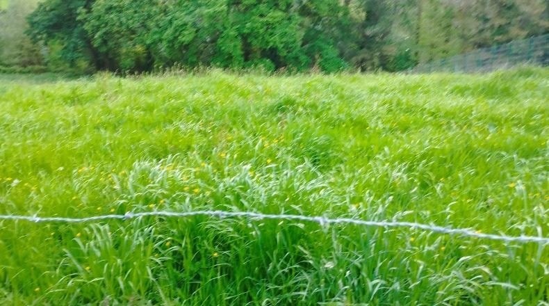 Cantabria - Ruente - 575m2