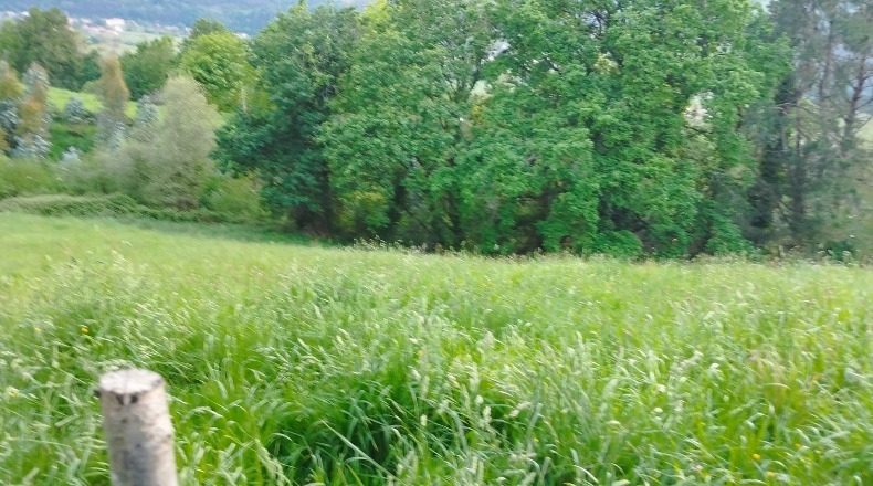 Cantabria - Ruente - 575m2