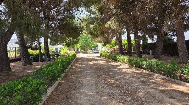 Alicante - Вильена - 60000m2