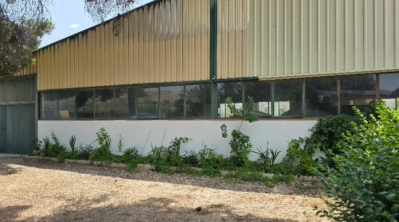 Alicante - Вильена - 60000m2