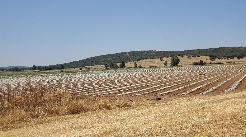 Ciudad Real - Ciudad Real - 4000000m2