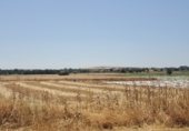 Terreno no urbanizable en venta en la Camino Sancho Rey, Ciudad Real, ref: TR325862 foto