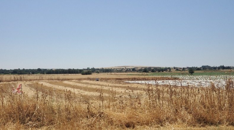 Ciudad Real - Ciudad Real - 4000000m2