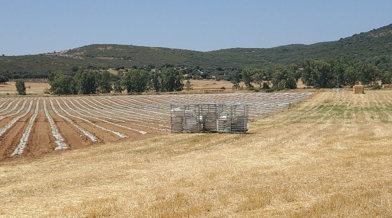 Ciudad Real - Ciudad Real - 4000000m2