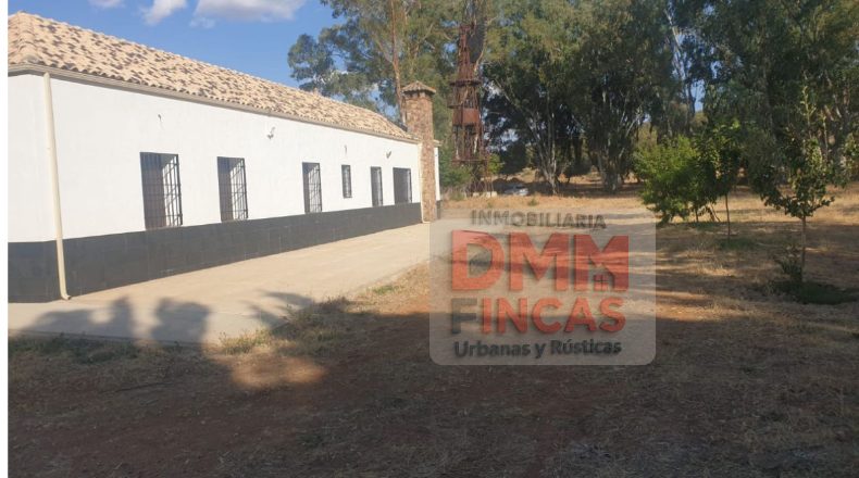 Ciudad Real - Ciudad Real - 2500000m2