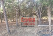 Chalet independiente con terreno en venta en la Camino Sancho Rey, Ciudad Real, ref: TR325863 foto