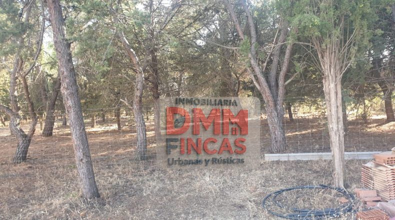 Ciudad Real - Ciudad Real - 2500000m2