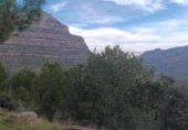 Non-developable land for sale on Ca n'Estruc Vell, Esparreguera, ref: TR326846 photo