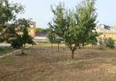 Городская земля под застройку на продажу у города Mollina Фото