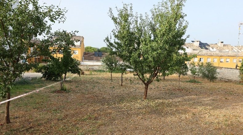 Malaga - Mollina - 900m2